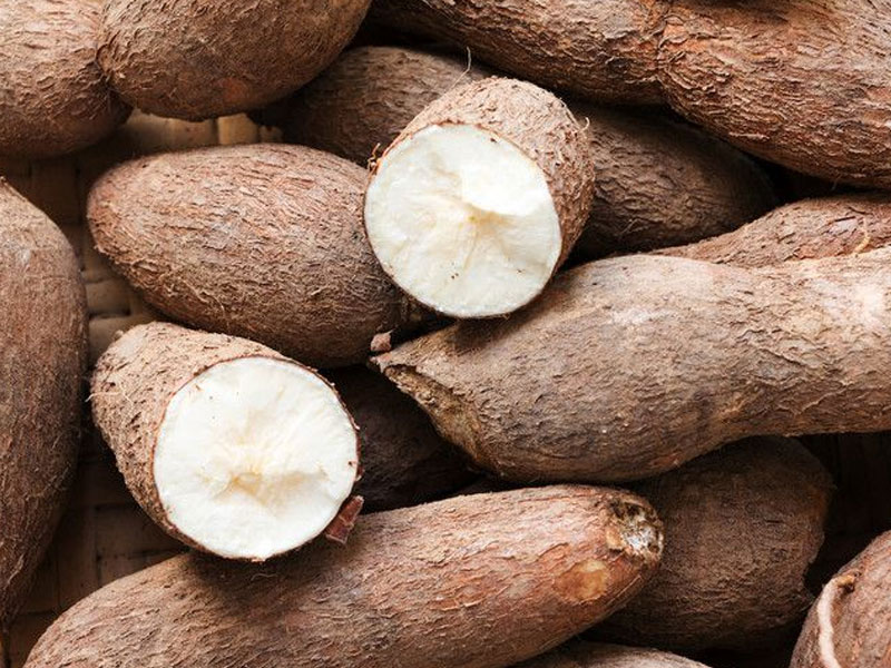 Cassava