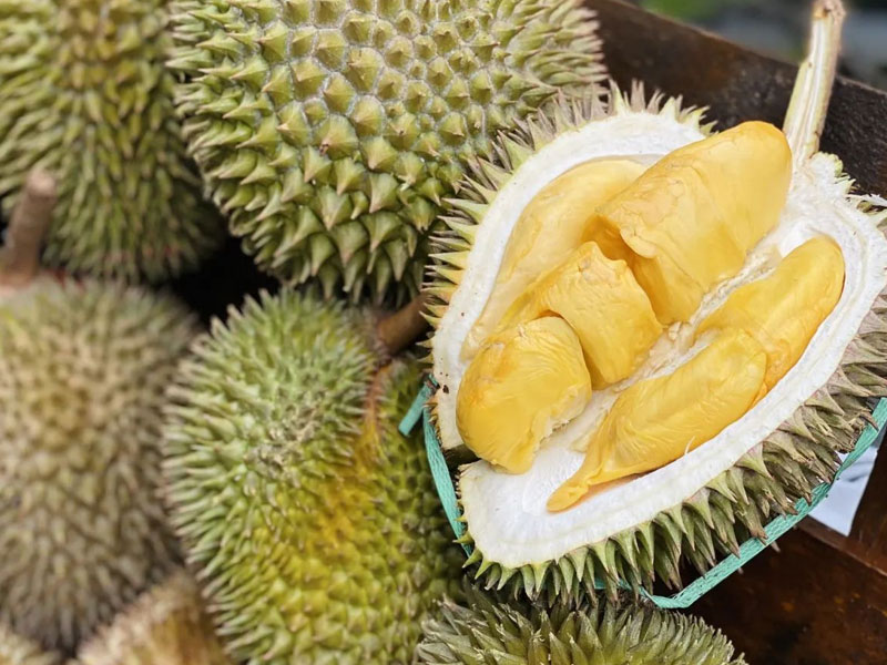 Durian