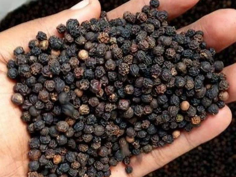 Black Pepper