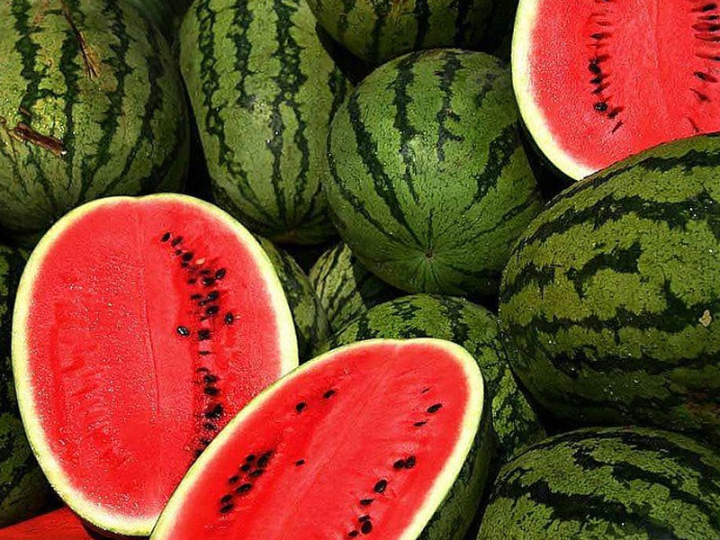 Watermelon