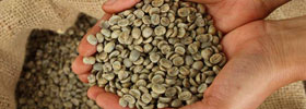 Green Coffee Beans