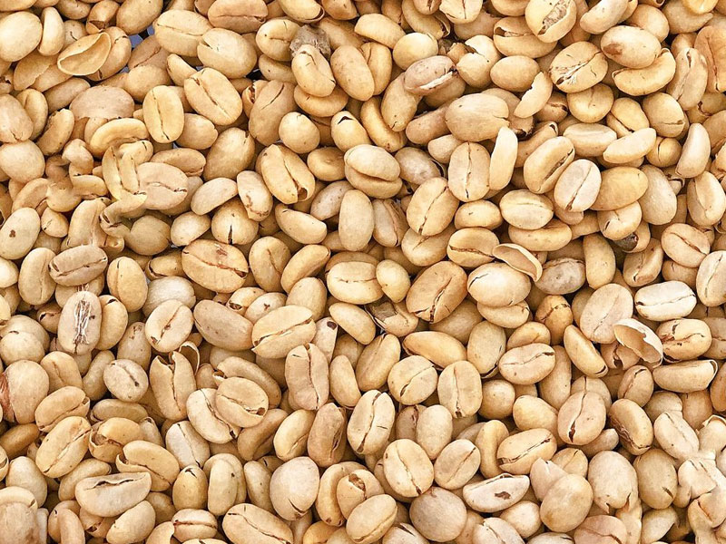 Arabica Parchment Coffee