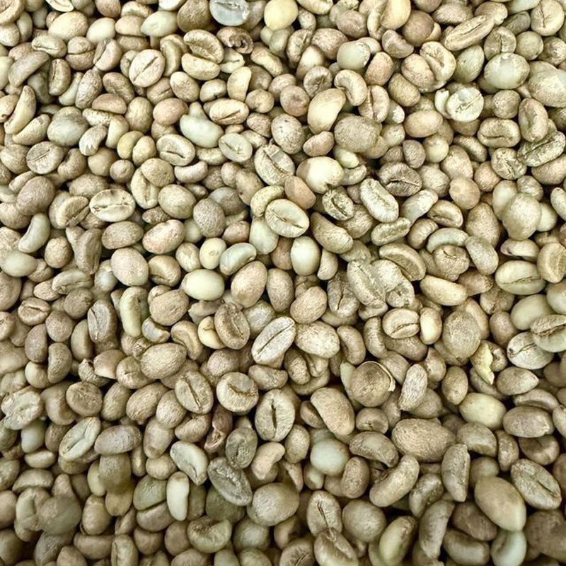 Robusta Coffee Beans